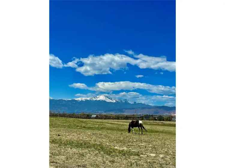 Single-family house For Sale in Colorado Springs, Colorado