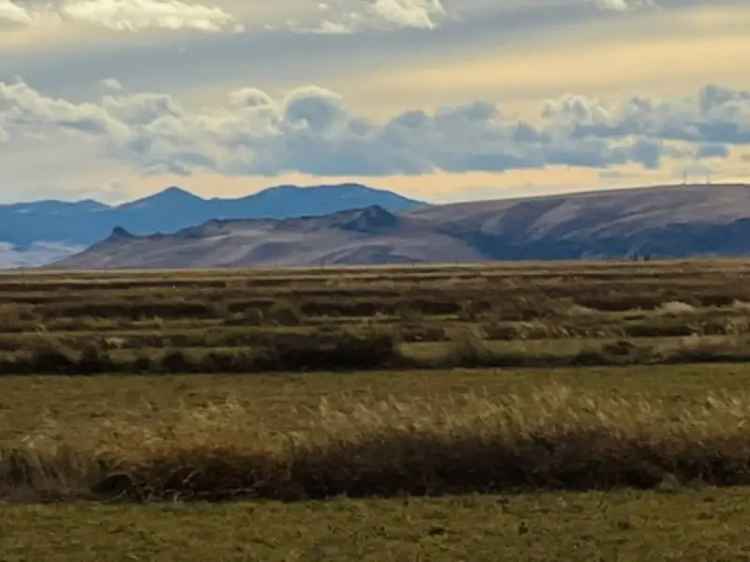 Land For Sale in Montana