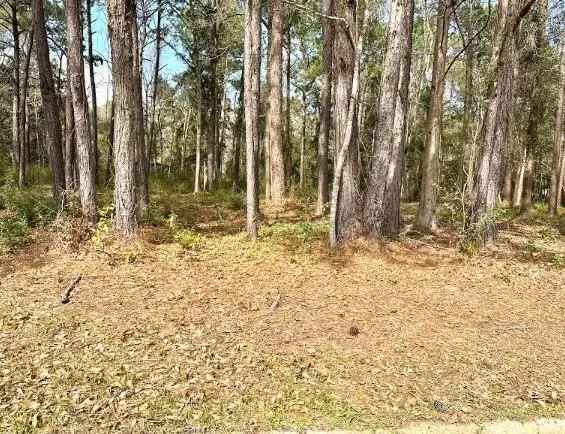 Land For Sale in Mobile, Alabama