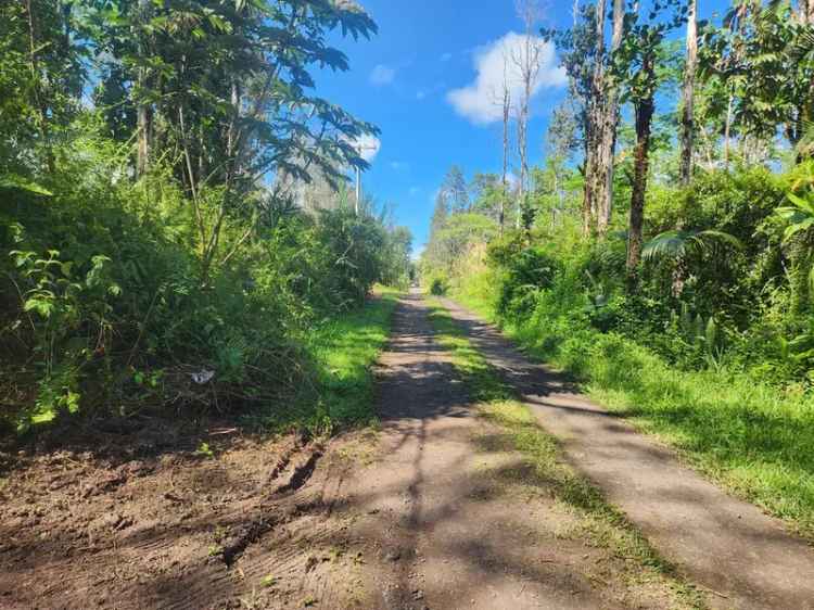 Land For Sale in Pahoa, Hawaii