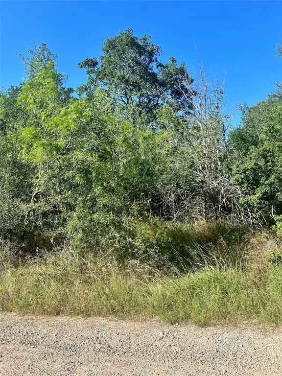 Land For Sale in 183, Helemano Drive, Texas