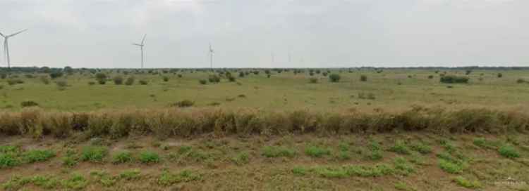 Land For Sale in Edinburg, Texas