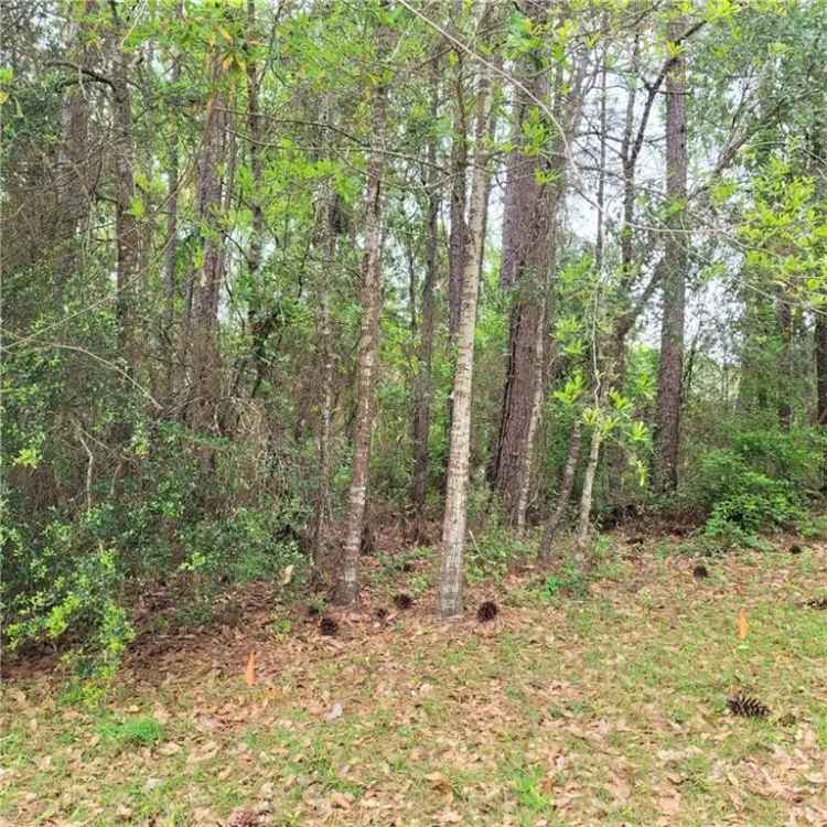 Land For Sale in Mobile, Alabama