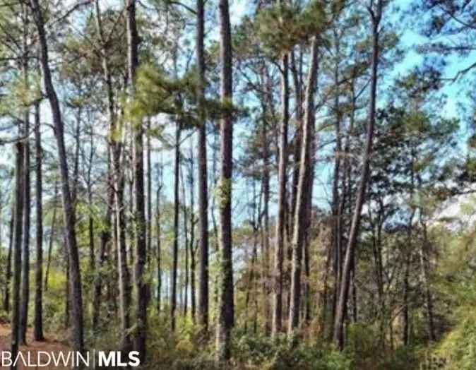 Land For Sale in Daphne, Alabama