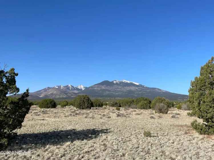 Land For Sale in Flagstaff, Arizona