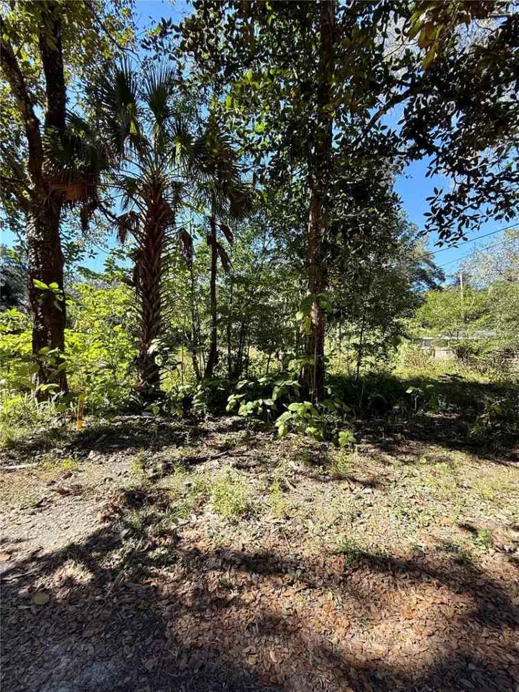 Land For Sale in Ocala, Florida