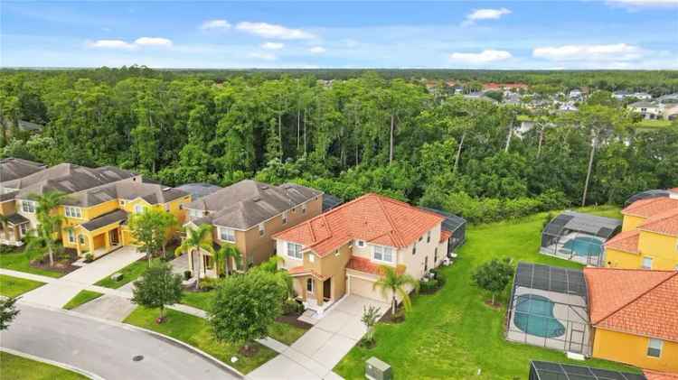 Single-family house For Sale in 290, Las Fuentes Drive, Kissimmee, Florida