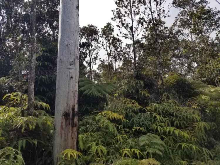 Land For Sale in Volcano, Hawaii