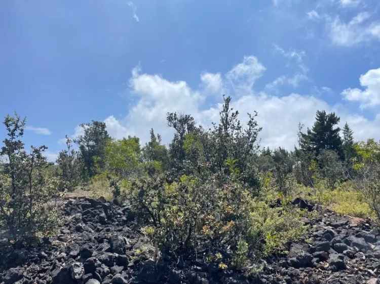 Land For Sale in Hawaiian Ocean View, Hawaii