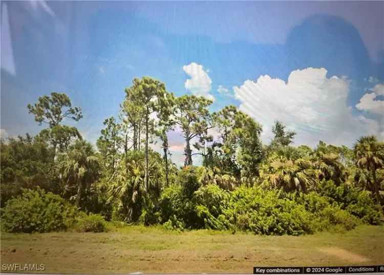 Land For Sale in 26353, Flower Road, Punta Gorda, Florida