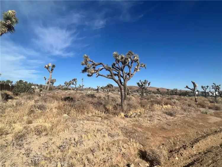 Land For Sale in Yucca Valley, California