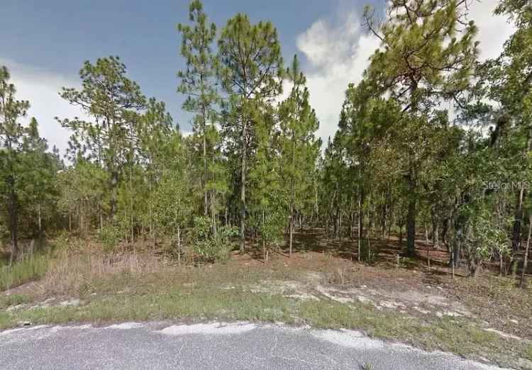 Land For Sale in Ocala, Florida