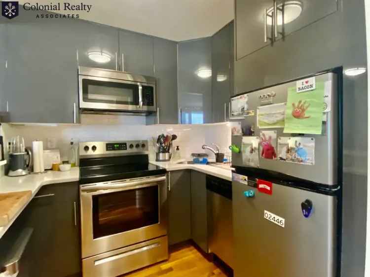 1 Bedroom Apartment in Coolidge Corner Brookline MA