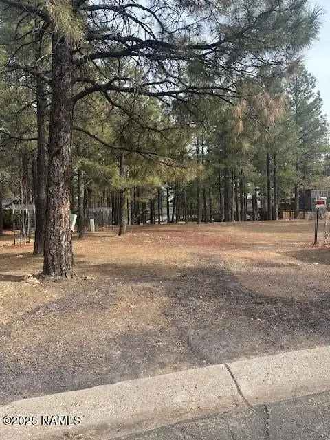 Land For Sale in Flagstaff, Arizona