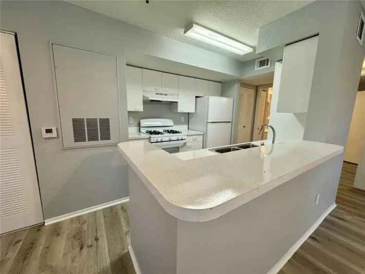 Remodeled Condo in Gated Columbia Arms Community