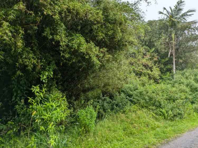 Land For Sale in Mountain View, Hawaii