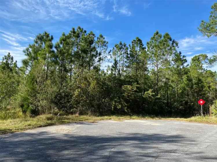 Land For Sale in Wedgefield, Florida