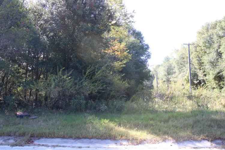 Land For Sale in Moultrie, Georgia