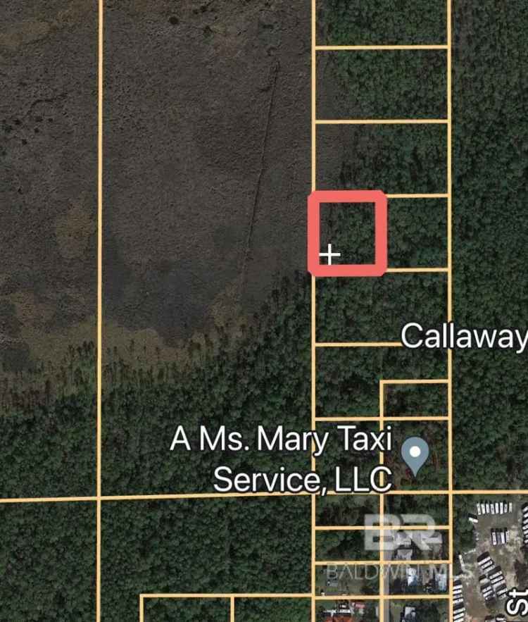 Land For Sale in Gulf Shores, Alabama