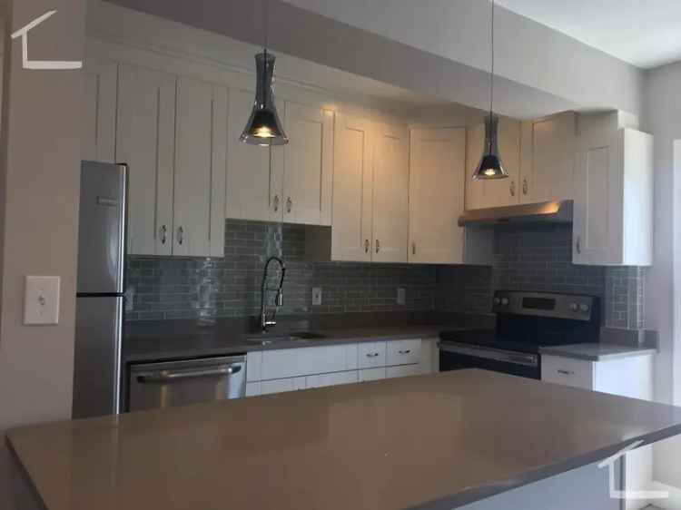 Spacious 3BR Apartment Near BU - Recently Renovated