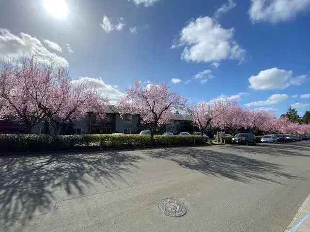 2BR 1.5BA Apartment for Rent in Cedar Mill Town Center