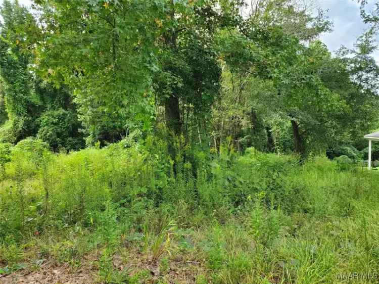 Land For Sale in Newton, Alabama