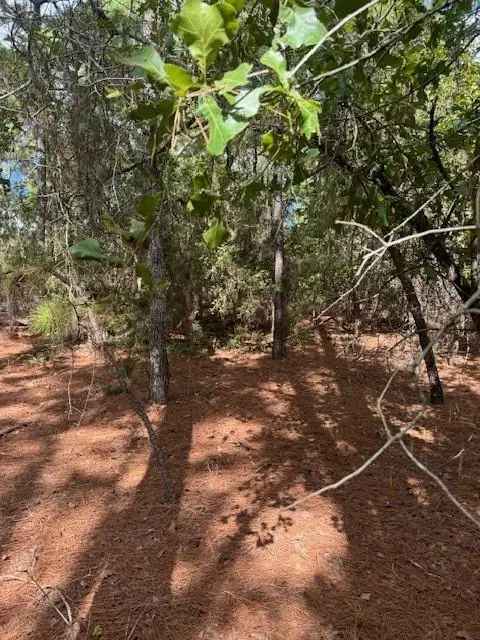 Land For Sale in 190, Molokini Drive, Texas