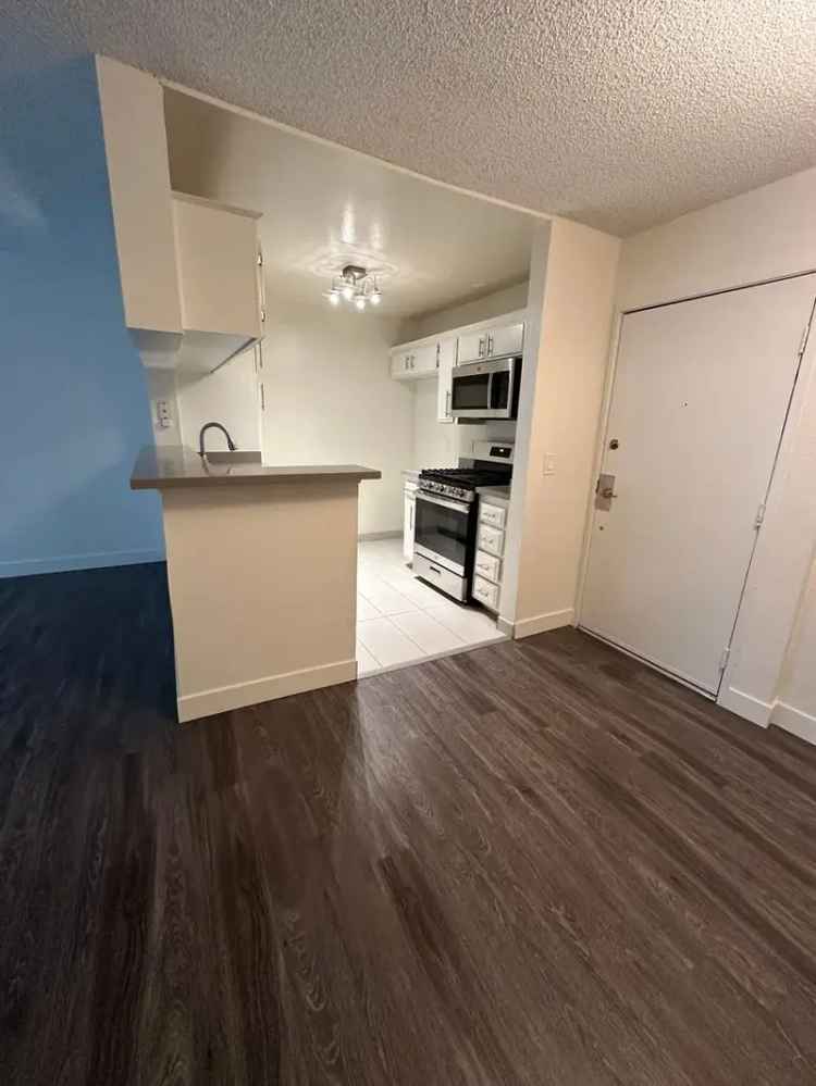 Apartments for Rent