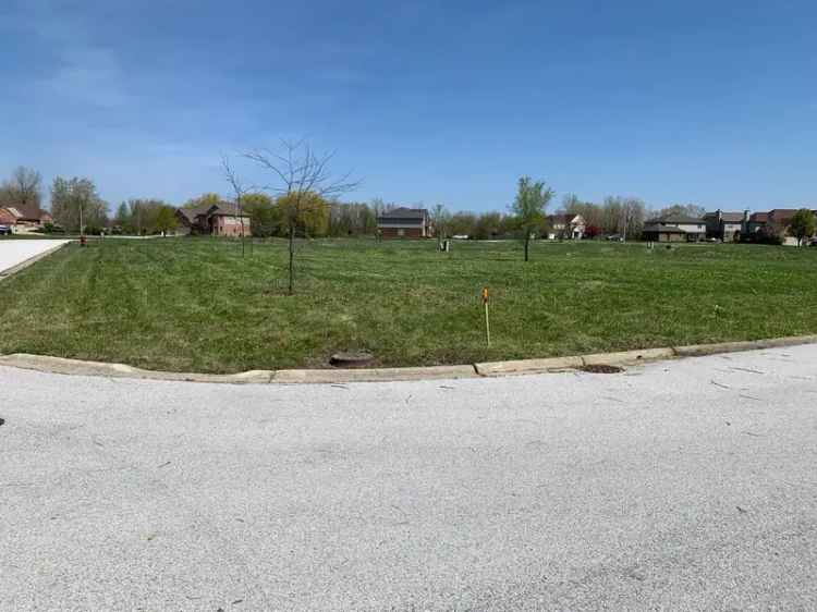 Land For Sale in 2028, Lewis Drive, Lynwood, Illinois