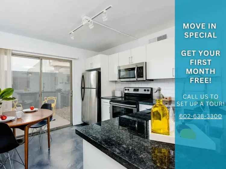 Renovated 2 Bed 1 Bath Apartment in Biltmore District