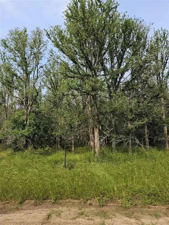 Land For Sale in 288, Kahana Lane, Texas