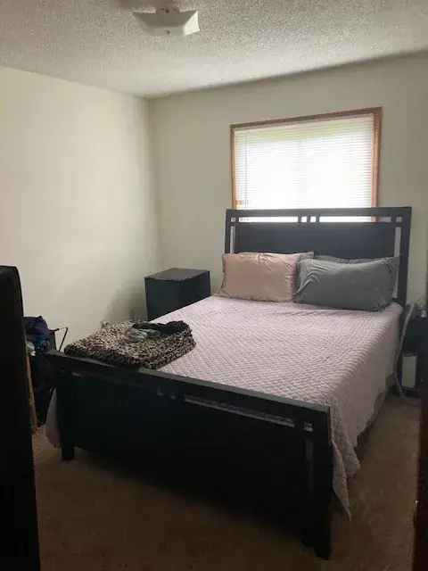 1 BR Corner Apartment for Rent Near Mall of America