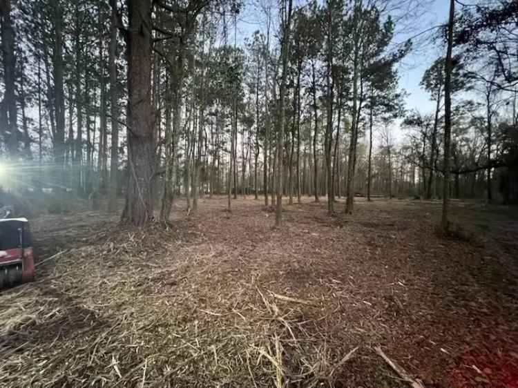 Land For Sale in 1301, Ausborn Road, Picayune, Mississippi