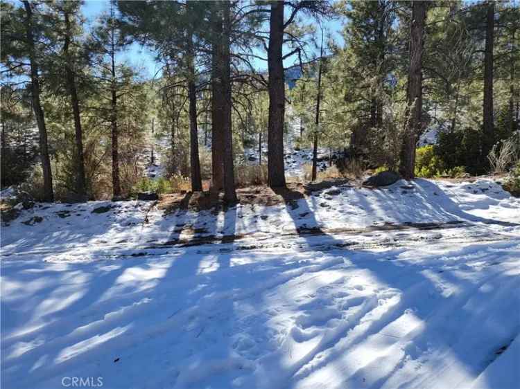 Land For Sale in Wrightwood, California