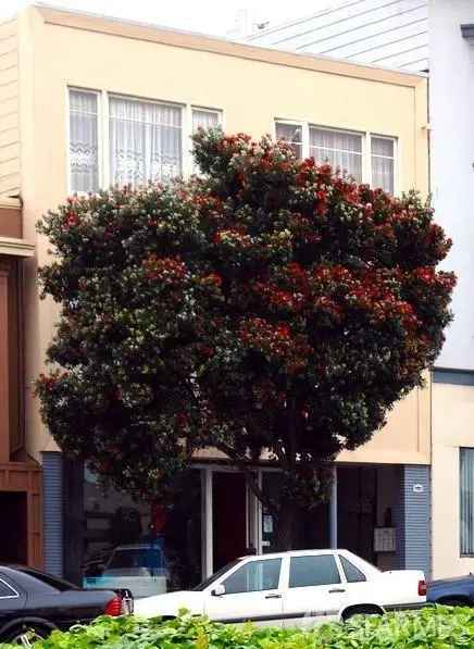 Multi-family house For Sale in San Francisco, California