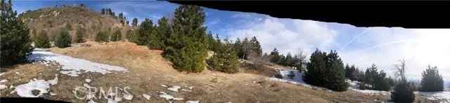 Land For Sale in Rimforest, California