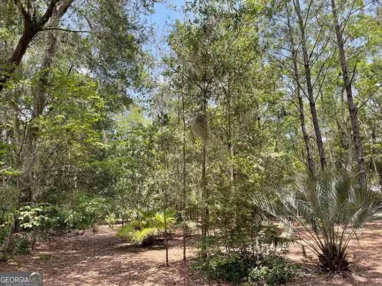 Land For Sale in St. Marys, Georgia