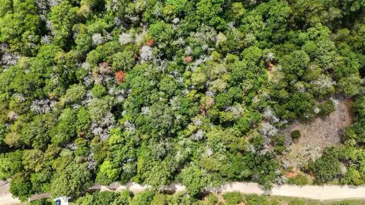 Land For Sale in 131, Helemano Drive, Texas