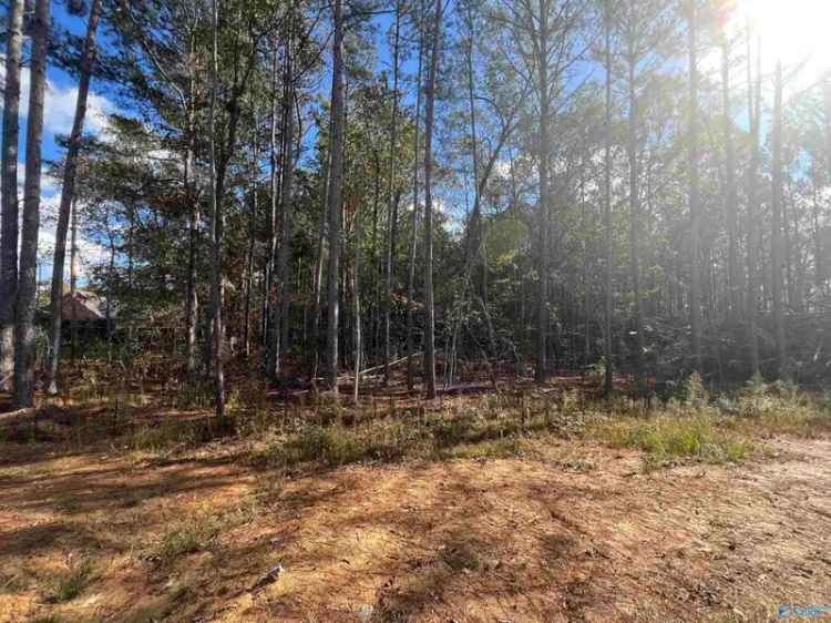 Land For Sale in 2050, Heritage Lane Southwest, Hartselle, Alabama