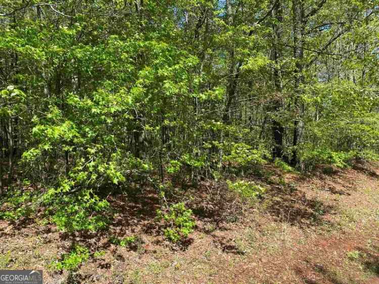 Land For Sale in 112, Greenview Terrace, Macon, Georgia