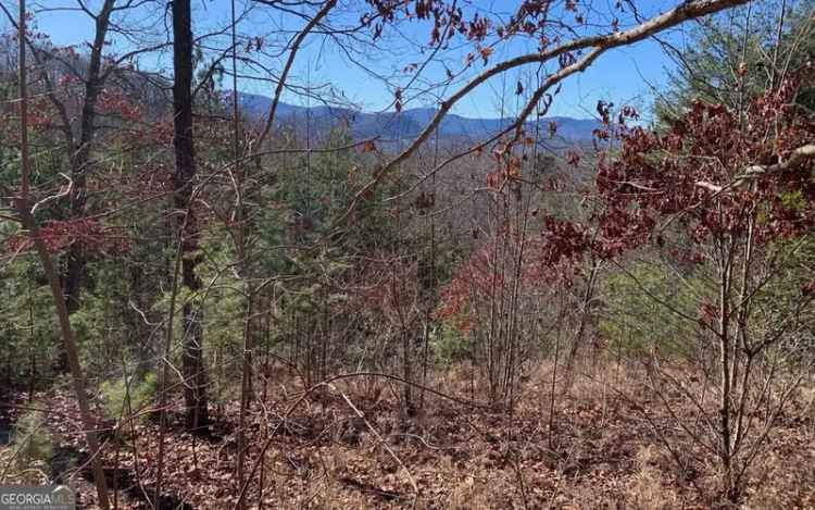 Land For Sale in Blairsville, Georgia