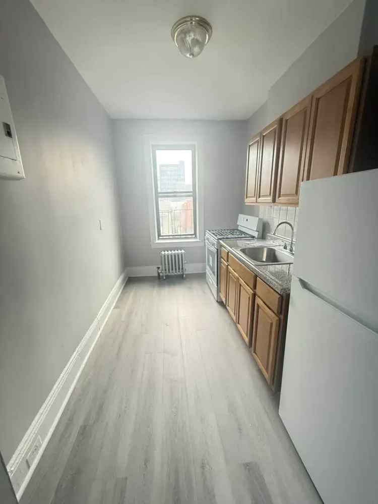 Flatbush One Bedroom Apartment Near Kings Theatre and Prospect Park