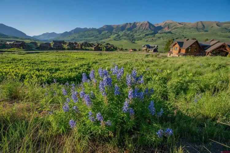 Land For Sale in 14, Walking Deer Lane, Mount Crested Butte, Colorado