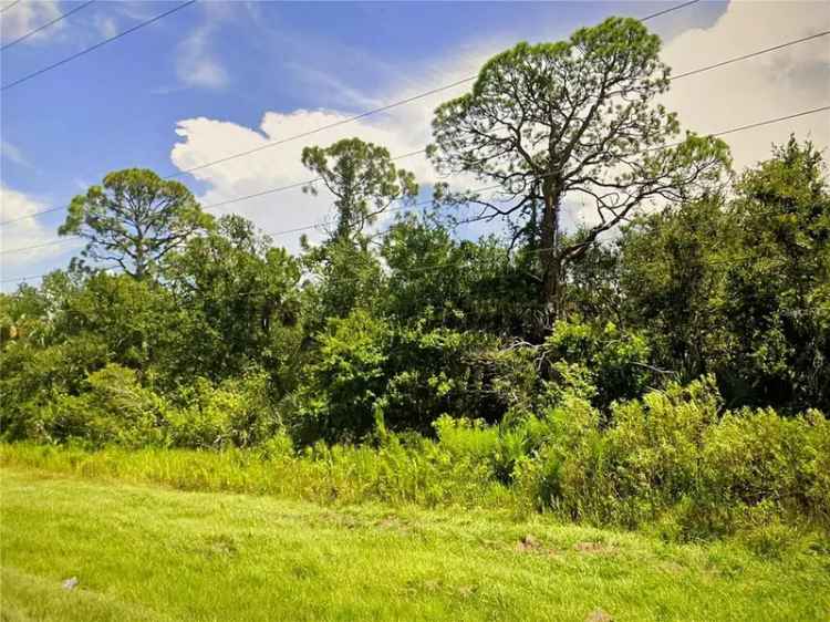 Land For Sale in 26485, Notre Dame Boulevard, Punta Gorda, Florida