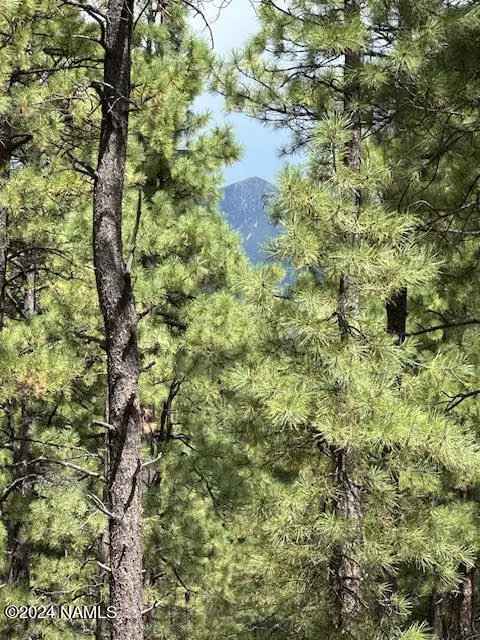 Land For Sale in 3101, West Sacred Mountain Road, Flagstaff, Arizona