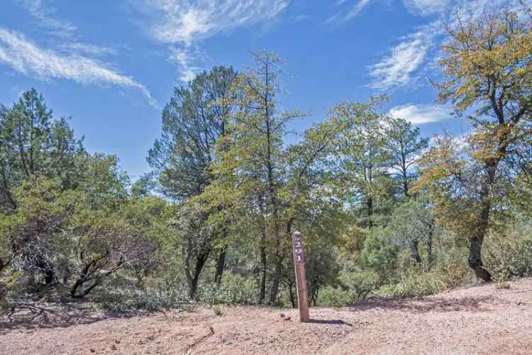 Land For Sale in 116, South Crescent Moon, Payson, Arizona