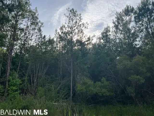 Land For Sale in Spanish Fort, Alabama