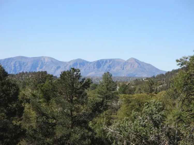 Land For Sale in Payson, Arizona