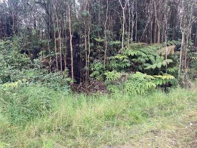 Land For Sale in Volcano, Hawaii