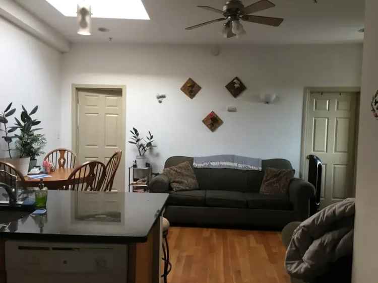 4 Bed 1 Bath Apartment near Northeastern University